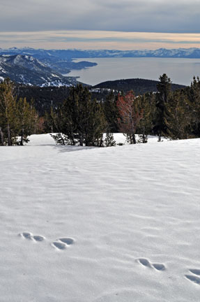 Image of building located at trailhead