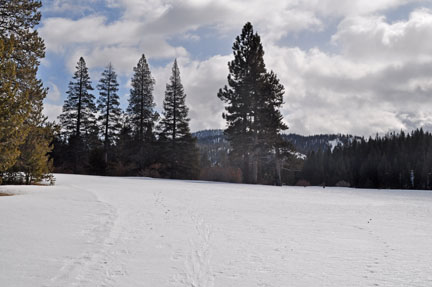 Image on way back to trailhead