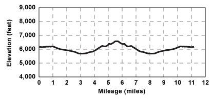 Elevation profile for tour
