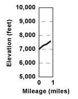 Elevation profile for tour