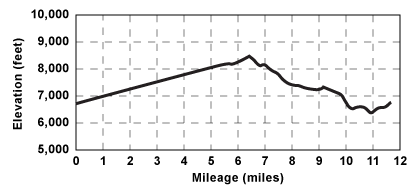 Elevation profile for tour