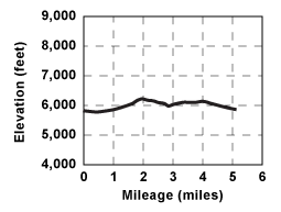 Elevation profile for tour