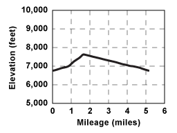 Elevation profile for tour