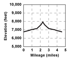 Elevation profile for tour