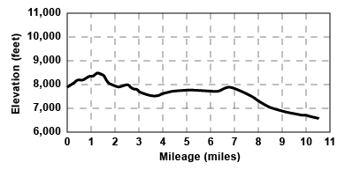 Profile for tour Mount Reba to Cabbage Patch